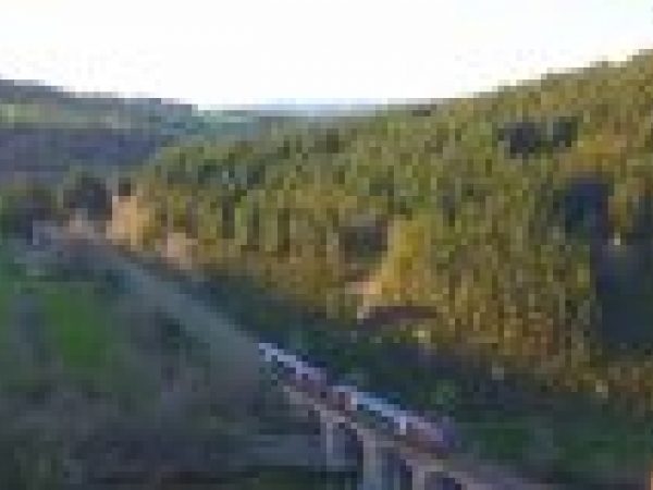 Ligne des Cévennes : après 6 mois de coupure le 1er train arrive à Langogne [vidéo]